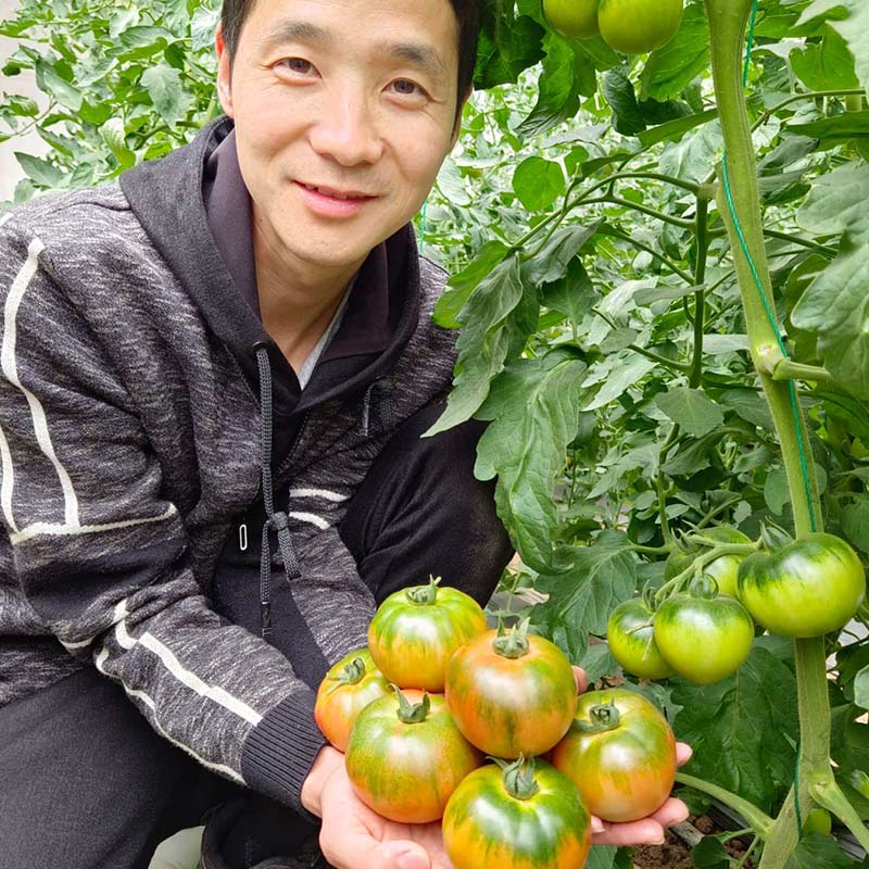天辰娱乐优六