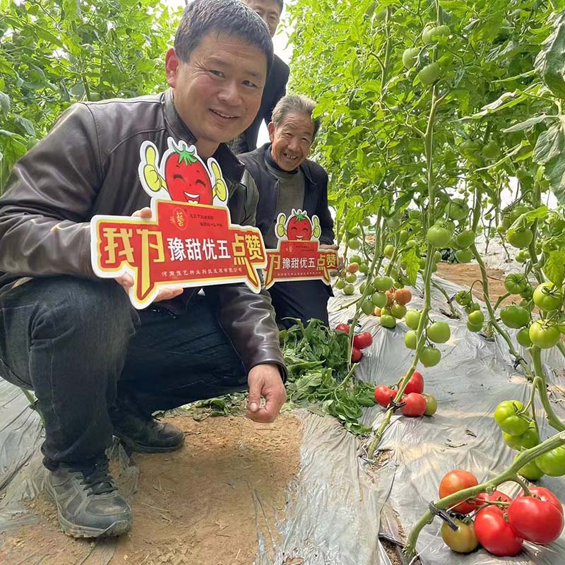 天辰娱乐优五
