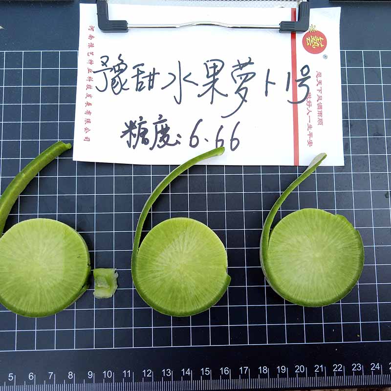 天辰娱乐水果萝卜