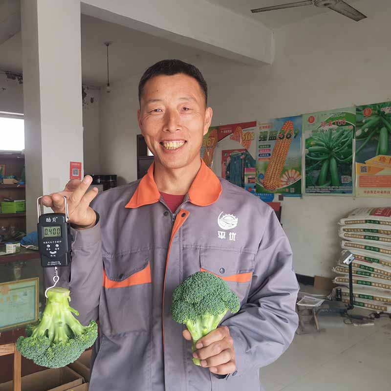 天辰娱乐鲜绿